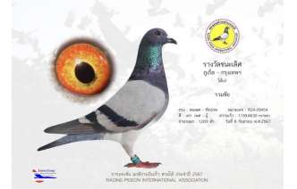 ที่-1-ภูเก็ต-2024-rpia-เก่งมากๆครับ-เสี่ยไข่ยศพงศ์-จารุศิริพิพัฒน์